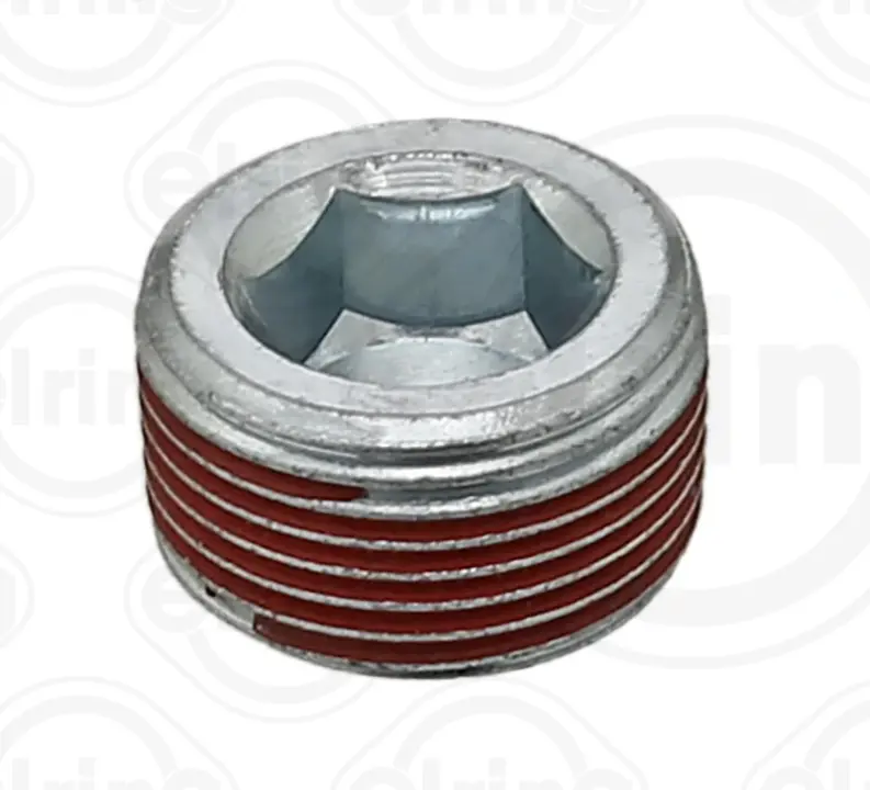 Болт слива Elring 587.100 (фото 1)