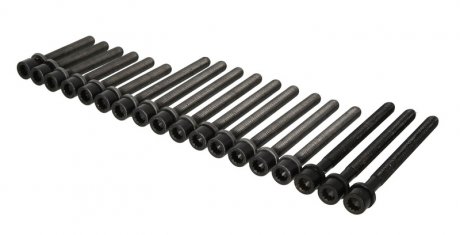 Болти головки блоку elring 804860 на Фольксваген Бора