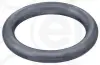 ELRING VW ущільнювальне кільце блоку двигуна 19.6*3.6мм elring 569390