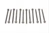 К-Т болтов ГБЦ Aveo 1,2-1,4 elring 751.970