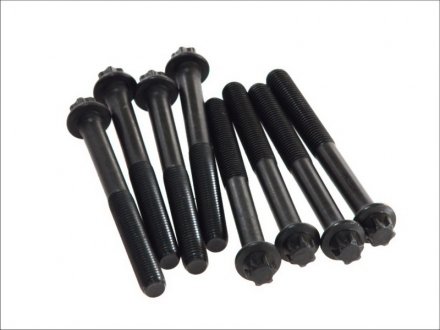 Комплект болтов ГБЦ MAN D0824/D0826 (2CYL) elring 820245