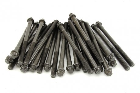 Комплект болтов ГБЦ. MAN D2066 M18x2x146. в комплекте 26 штук. elring 124791 на Рено 11