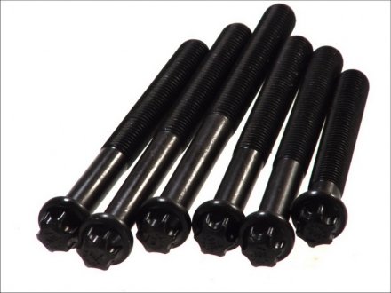 Комплект болтов ГБЦ. MAN D2566/D2840/D2865/D2866/D2876 (1CYL) elring 820548