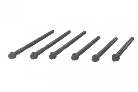 Комплект болтов ГБЦ MAN elring 015920