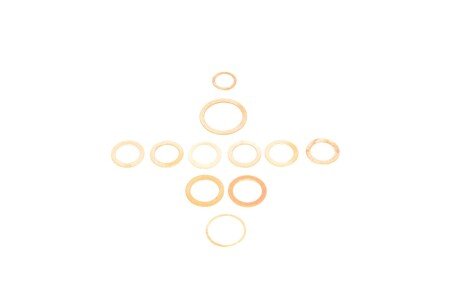 Комплект прокладок двигуна elring 452660