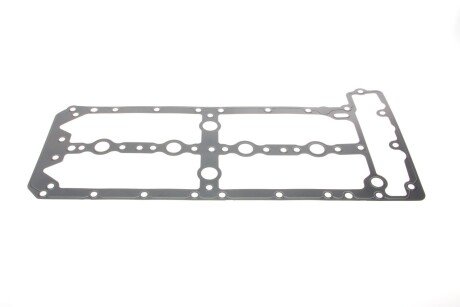 Комплект прокладок двигуна elring 452660