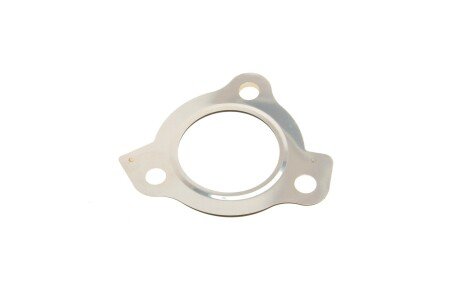 Комплект прокладок двигуна elring 795650