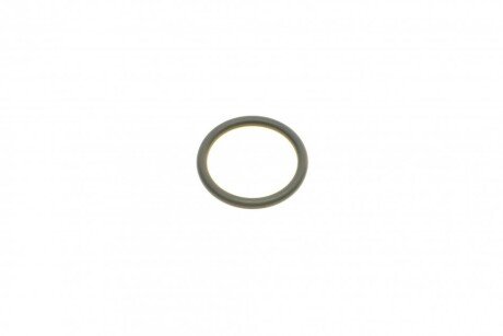 Комплект прокладок двигуна elring 796240