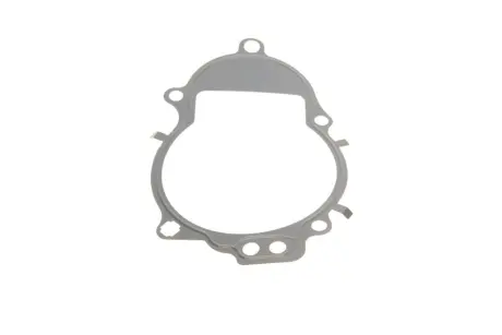 Прокладка двигуна elring 732692