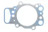 Прокладка ГБЦ SCANIA elring 125830