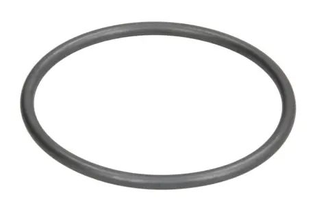 Прокладка термостата VW Passat 1.9TDi-2.5TDI 98- (більша) 60X67X3,5 MOL Elring 002.240
