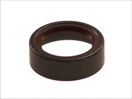 Сальник куліси кпп Elring 249.173