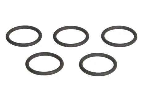 Елемент форсунки Common Rail ENGITECH ENT250244 Ауди 100 с3
