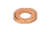 Елемент форсунки Common Rail ENGITECH ENT250344