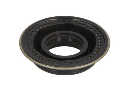 Елемент форсунки Common Rail engitech ENT250524