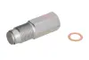 Елемент системи Common Rail ENGITECH ENT260024/1
