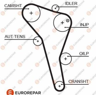 РЕМІНЬ ГРМ eurorepar 1633129180 на Сеат Альхамбра