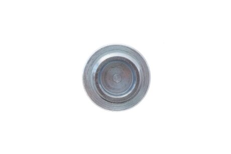 Масляные пробки/M24x15 L=14 fa1 (fischer automotive one) 257871001