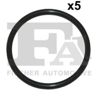 Уплотнительное кольцо/FPM 53,00 x 61,00 x 4,00 black fa1 (fischer automotive one) 076342005