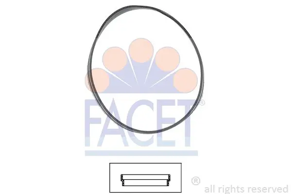 Прокладка термостату Facet 79631 (фото 1)