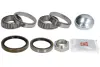 Подшипник передней ступицы FAG 713 6503 10