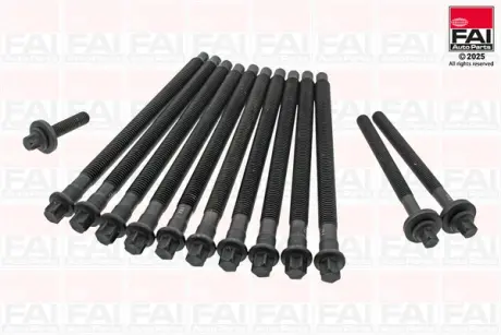 Болты головки блока Peugeot 207 1.4 16V 07- (к-кт) FAI B1460