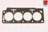 RENAULT Прокладка ГБЦ 1..6mm R19,Clio,Megane I,Kangoo,Mitsubishi,Volvo 1,9D/TD 90- (3 карба) FAI HG782