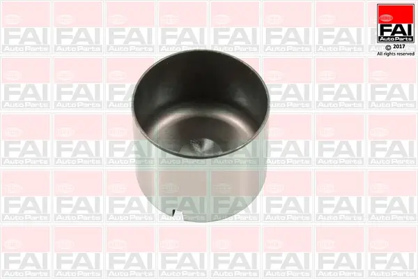 Гідрокомпенсатор (штовхач клапана) FAI BFS100S (фото 1)
