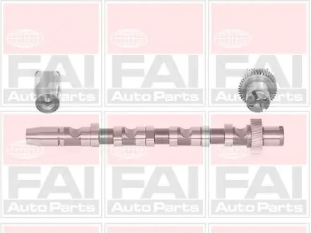 Распредвал A4/A6/A8/Passat 2.5 TDI 97-05 (для 1-3 цилиндра) впуск. FAI C244