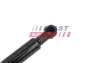 Амортизатор багажника Renault Megane Scenic II 03-09 fast FT00193