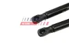 Амортизатор багажника (500/195mm 320N) Seat Leon 05-12 fast FT00194