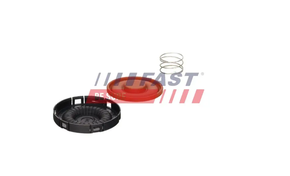 Мембрана вентидяції газів кришки клапанів BMW 1 F20/F21 118D,120D,125D 2011-,3 F30/F31 316D,318D,320D,325D 2012- Fast FT04929 (фото 1)
