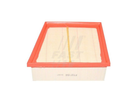 Фільтр повітряний Ford Fiesta IV 08-/Mazda 2 1.6 MZ-CD 08- fast FT37150 на Форд Б-макс