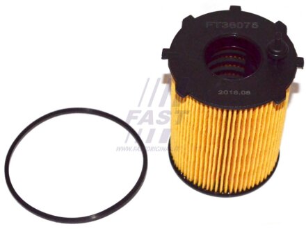 Фільтр масляний (вставка) PSA Berlingo/C3/C4/Partner/207/307/Ford Fiesta/Focus 1.4-1.6HDi 04- fast FT38075 на Вольво V70