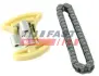 К-кт ланцюга ГРМ Citroen 2.2HDi 08-/Ford 2.2 TDCi 08- fast FT41904