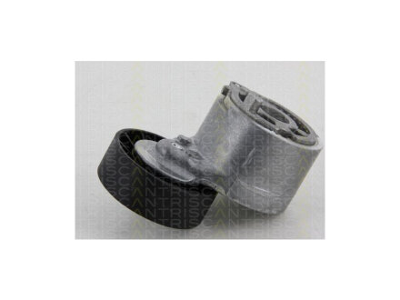 Натяжник паска Peugeot Boxer 3.0 Hdi 04.06- fast FT44613