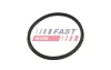 Ущільнювальне кільце fast FT48965