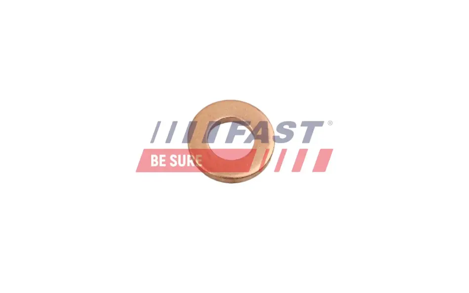 Ущільнювальне кільце вала fast FT49801