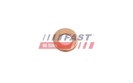 Ущільнювальне кільце вала fast FT49801