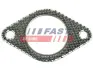 ПРОКЛАДКА ГЛУШНИКА FIAT DUCATO 14> Fast FT84579 (фото 1)
