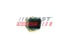 Датчик Температури Води Fiat Doblo 09 1.3 Jtd 2-Pin fast FT80153