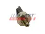 Датчик тиску палива в рейці Dacia Logan 1.5dCi 05- /Ford Mondeo 2.0TDCI 01-07 /Renault Clio 1.5dCi 01-/Kangoo 1.5dCi 01-/Megane II 1.5dCi Fast FT80075 (фото 1)