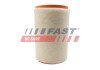 Фільтр повітряний 2.0HDI 16V,2.2HDI 16V,3.0JTD 16V Fiat Ducato 06-14, Peugeot Boxer 06-14, Citroen Jumper 06-14 fast FT37180