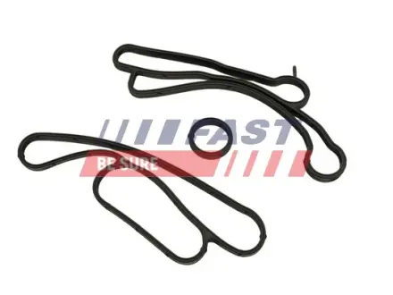 К-кт прокладок масляного радіатора Ford Transit V363 Land Rover Defender 2.2D/2.4D 04.06-12.18 Fast FT48938
