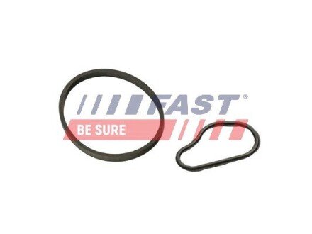 К-кт прокладок вакуум. насос (к-кт 2шт) CITROËN BERLINGO 1.6HDi 08- FORD TRANSIT CONNECT 1.5/1.6TDCi 13- PEUGEOT RIFTER 1.6HDi 18- fast FT48943