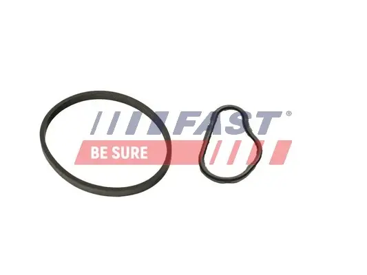 К-кт прокладок вакуум. насос (к-кт 2шт) CITROËN BERLINGO 1.6HDi 08- FORD TRANSIT CONNECT 1.5/1.6TDCi 13- PEUGEOT RIFTER 1.6HDi 18- Fast FT48943 (фото 1)