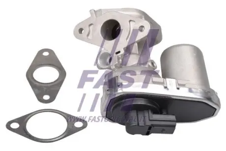 Клапан EGR 2.2Jtd Citroen/Fiat/Ford/Peugeot Fast FT60232