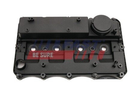 Кришка клапанів Ford/PSA 2.2 HDi 06- 2.2TDCI 12-15 fast FT45210