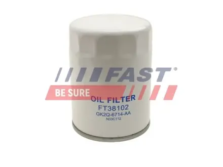 Масляный фильтр fast FT38102 Форд Кастом