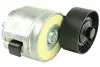 Натяжник паска Fiat, Opel 1.6D Multijet-2.0D Multijet 01.04- Fast FT44617 (фото 1)